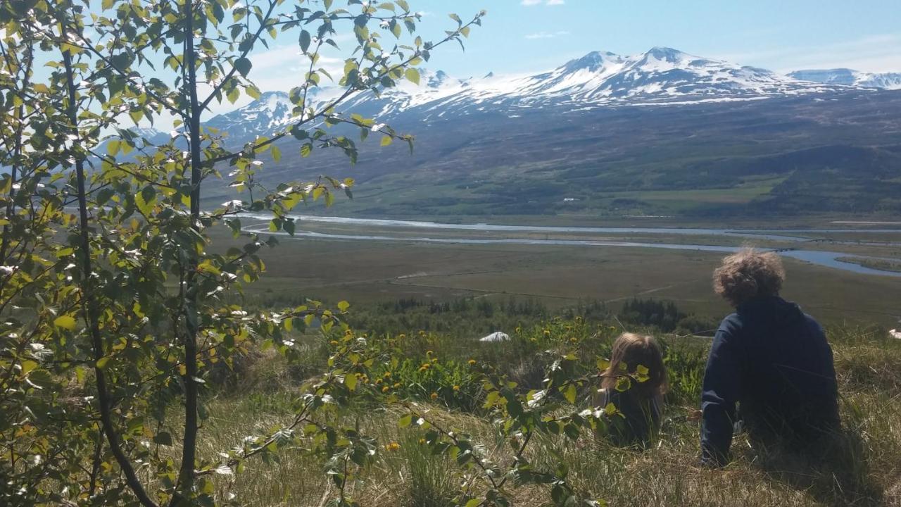 Iceland Yurt 阿克雷里 外观 照片
