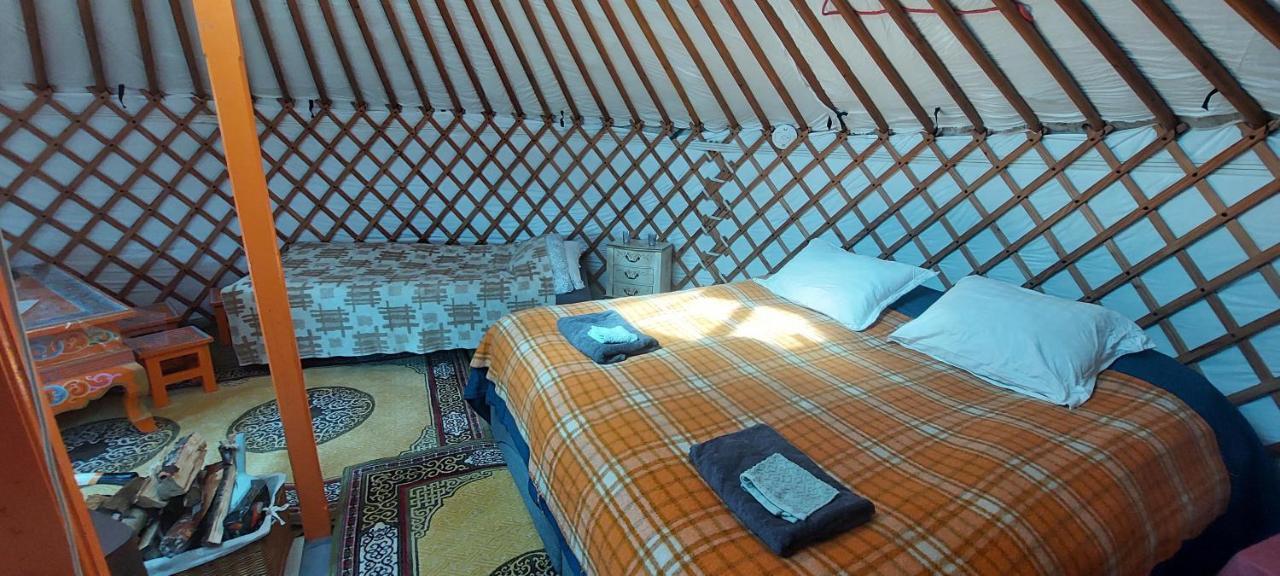 Iceland Yurt 阿克雷里 外观 照片