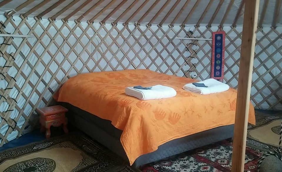Iceland Yurt 阿克雷里 外观 照片