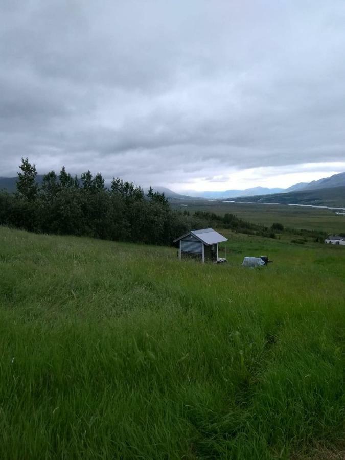 Iceland Yurt 阿克雷里 外观 照片